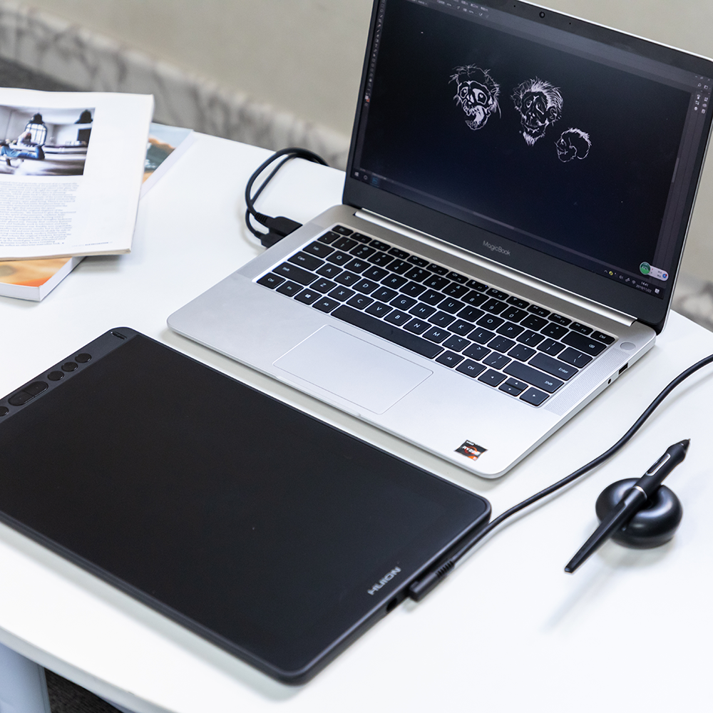 Huion Kamvas 13